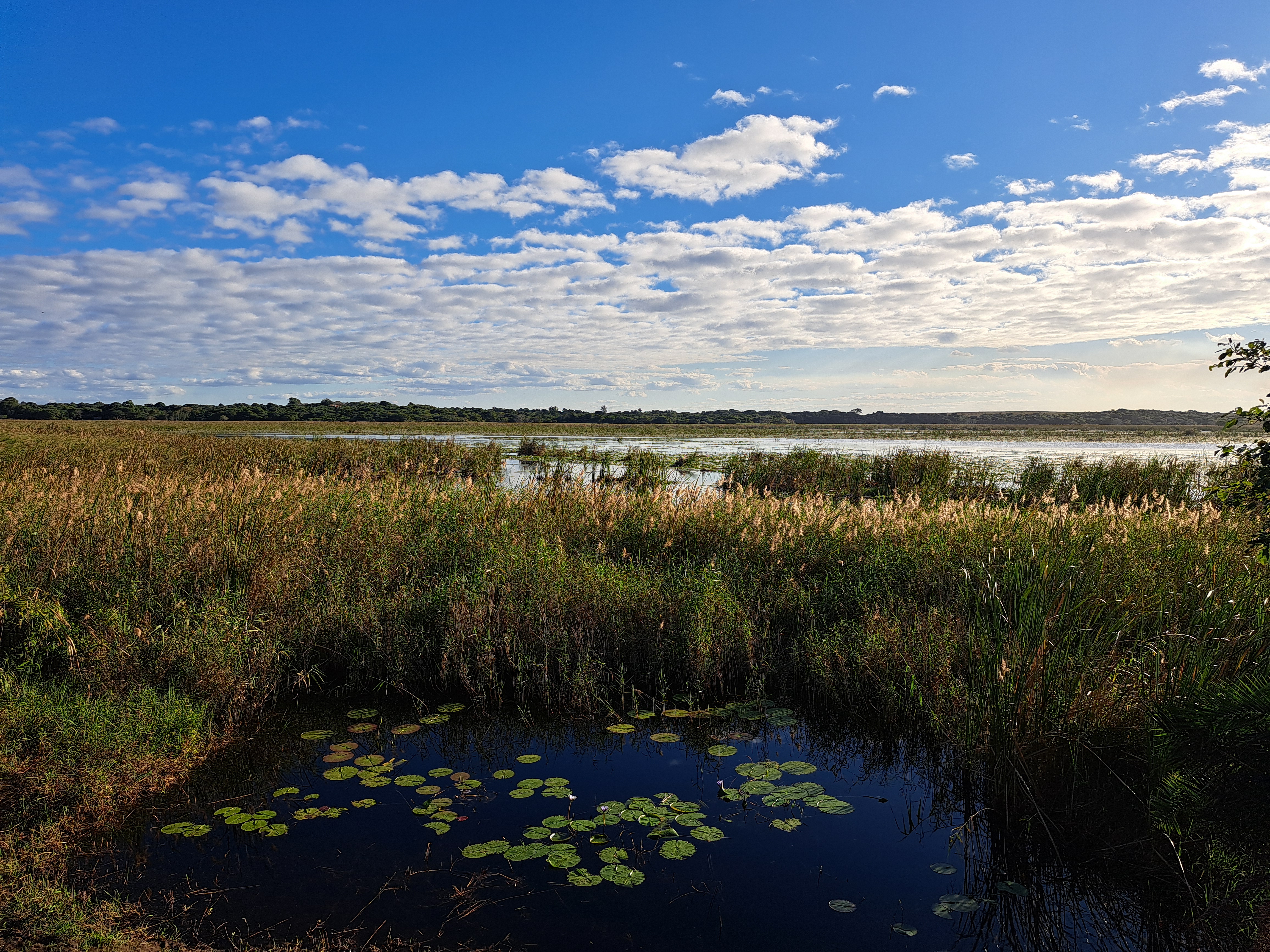 Lake View
