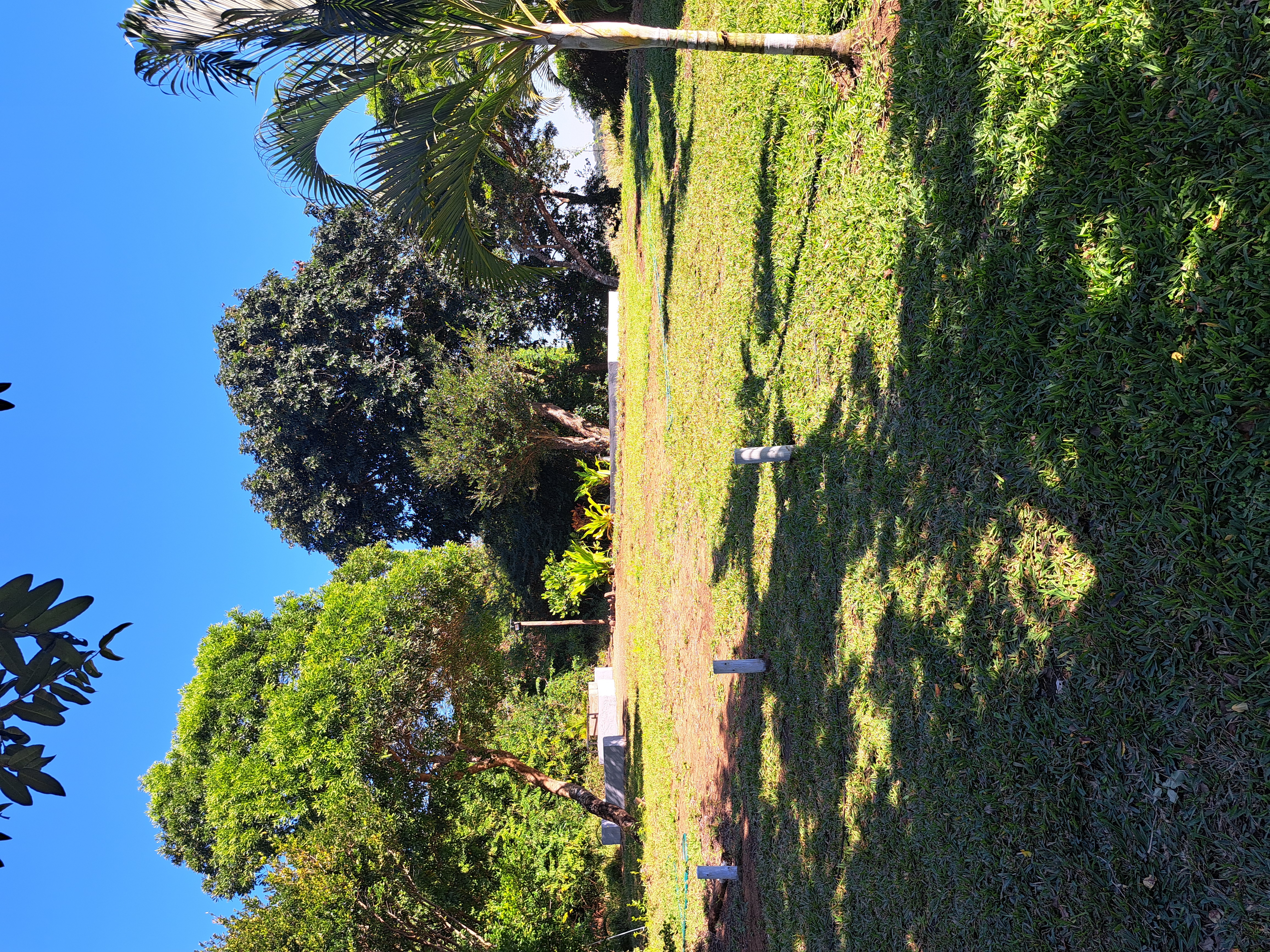 Lawn